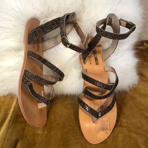 Amuse Society + Matisse Snake Print Sandals